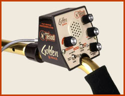 goldenmaxcontrol.jpg - 18502 Bytes